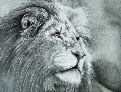Serengeti King
